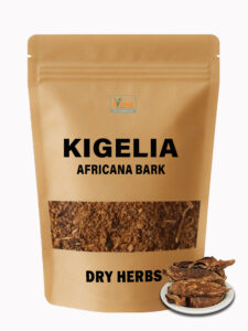 Kigelia Africana Bark Dry Herbs