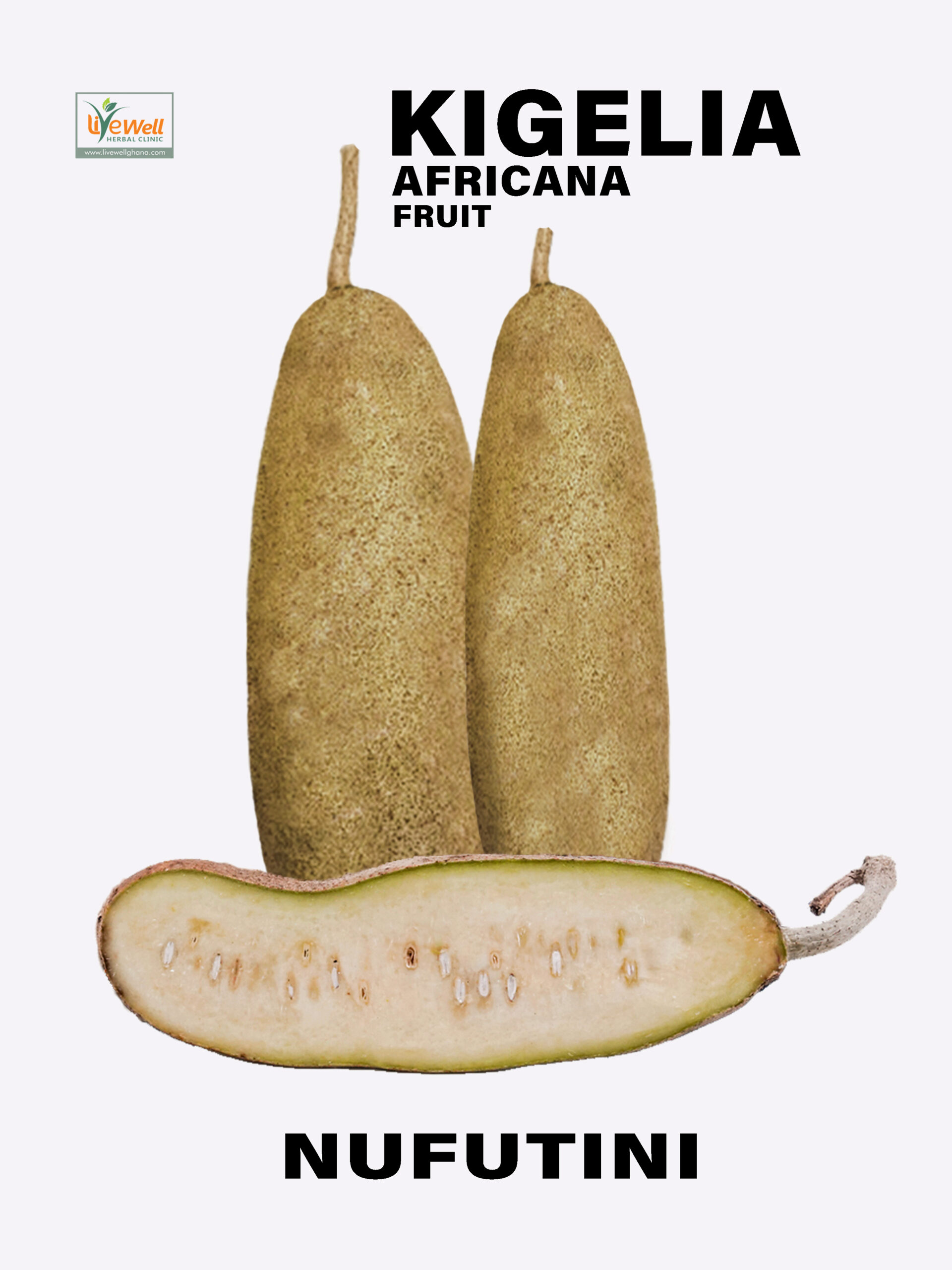 Kigelia Africana Fruit