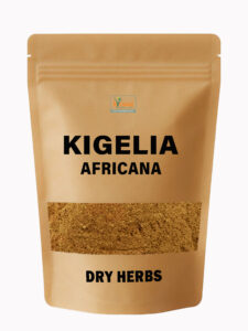 Kigelia Africanna Dry Herbs