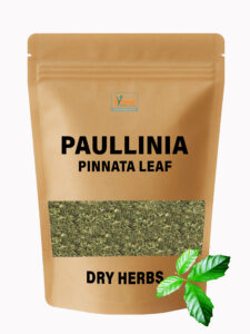 Paullinia Pinnata Leaf Dry Herbs