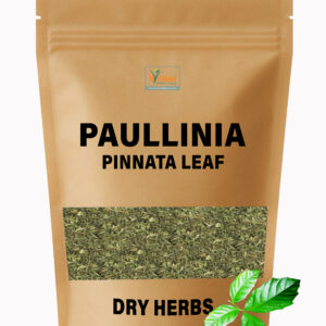 Paullinia Pinnata Leaf Dry Herbs